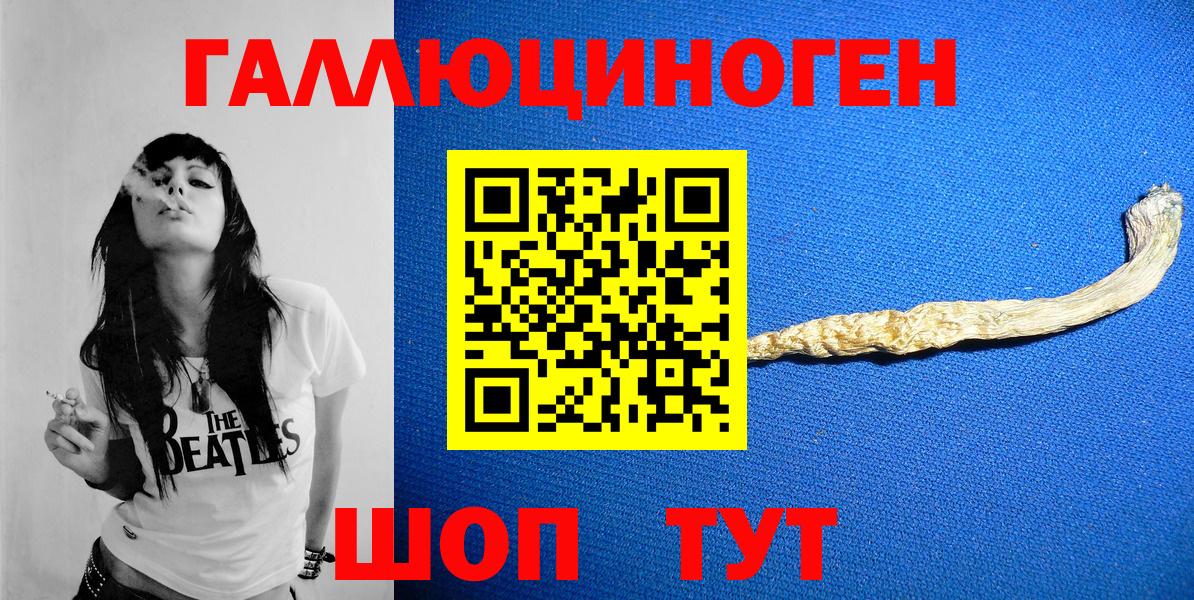 Псилоцибиновые грибы Psilocybine cubensis  Галлюциногенные грибы мицелий  Камень-на-Оби  где можно купить   Вход с VPN 