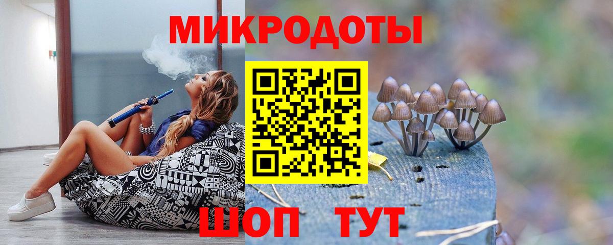 Галлюциногенные грибы MAGIC MUSHROOMS Камень-на-Оби